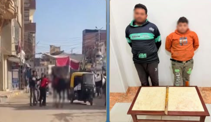 القبض على شخصين بالغربـية بعد تداول فيديو يظهر تعديهما على حصان بالعصا الخشبية